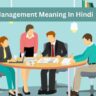 Management Meaning In Hindi