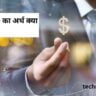 Revenue Meaning in Hindi